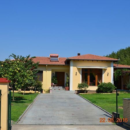 Kavala Villa 360 Degrees Green Amisianá المظهر الخارجي الصورة