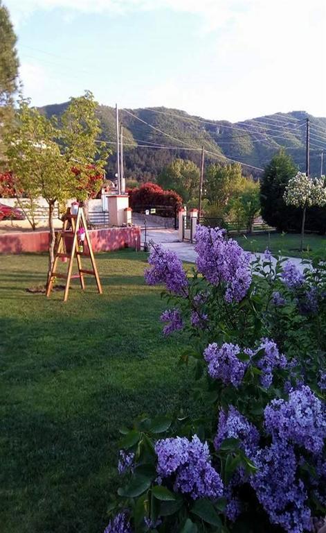 Kavala Villa 360 Degrees Green Amisianá المظهر الخارجي الصورة